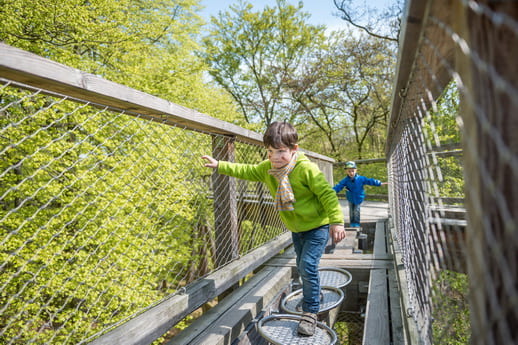 Naturerbezentrum Baumwipfelpfad Rügen Erlebnis