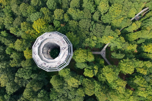 Naturerbe Zentrum Baumwipfelpfad Luftaufnahme