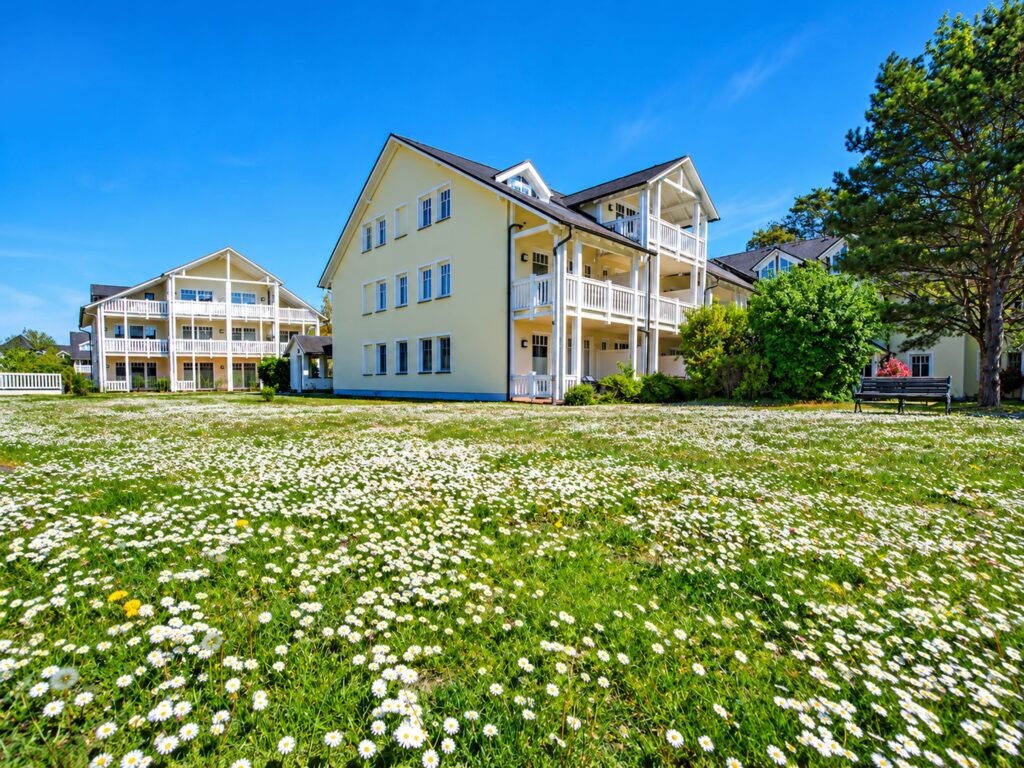 Dünenpark Binz Rügen Ostsee 100 m von der Ostsee entfernt